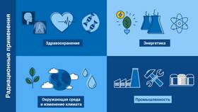 Что используют люди чаще всего: анализ повседневных предметов в Шинсервис