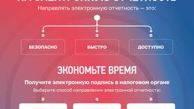 Детализация отрицательного сальдо по налогам: что означает в Шинсервис