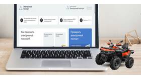 Электронная выписка транспортного средства: что это в Шинсервис