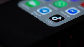 Как обратиться в службу поддержки TikTok в Шинсервис