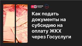 Как оформить гражданство ребенку через Госуслуги в Шинсервис