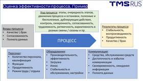 Как определить эффективность инвестиций в Шинсервис