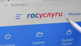 Как подать заявление на портале Госуслуги в Шинсервис