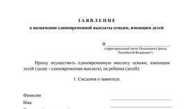Как получить единовременную выплату в Шинсервис