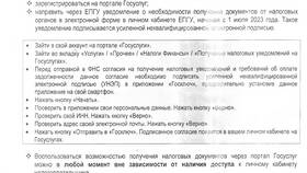 Как получить копию решения суда через портал Госуслуги в Шинсервис