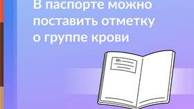 Как получить временный паспорт через Госуслуги в Шинсервис