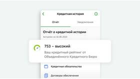 Как проверить сколько займов у человека в Шинсервис