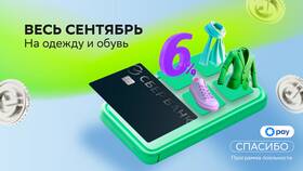 Как работает программа лояльности СберСпасибо в Шинсервис