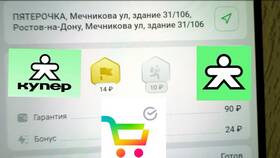 Как работать курьером в Купер в Шинсервис