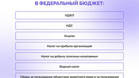 Как распределяется НДФЛ между бюджетами в Шинсервис