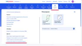 Как установить запрет на кредиты через Госуслуги в Шинсервис