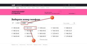 Как узнать стоимость тарифа на Теле2 в Шинсервис