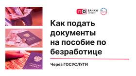Как внести данные паспорта на портал Госуслуги в Шинсервис