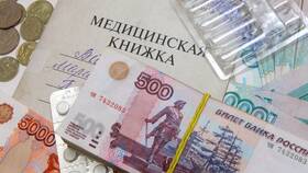 Как выглядит настоящая медицинская книжка в Шинсервис