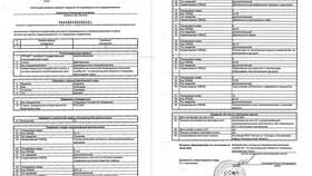 Как выглядит выписка из реестра ФГИС в Шинсервис
