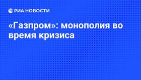Почему Газпром является монополией в Шинсервис
