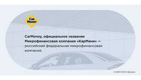 Почему падают акции компании ВУШ в Шинсервис
