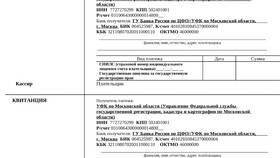 Пошлина по акту суда: что это в Шинсервис