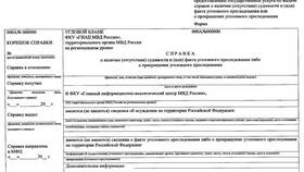 Срок действия справки о судимости с Госуслуг в Шинсервис