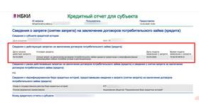 Стоимость получения кредитной истории через Госуслуги в Шинсервис