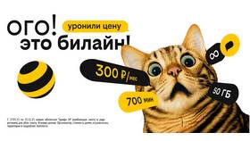Тариф Билайн UP: отзывы и особенности в Шинсервис