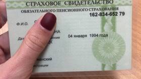 Зачем нужен СНИЛС при оформлении кредита в Шинсервис