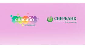 Зачем нужны бонусы СберСпасибо от Сбербанка в Шинсервис