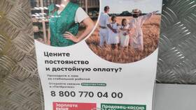 Зарплата грузчика в Пятерочке в Шинсервис