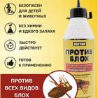 Как эффективно вывести блох