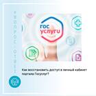 Почему не обновляются данные в личном кабинете Госуслуг