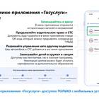 Сроки прикрепления к поликлинике через Госуслуги