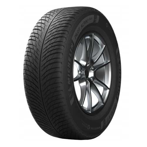 MICHELIN Pilot Alpin 5 225/55 R18 102V XL (CAE 517323) в Шинсервис